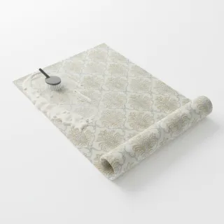 Carpet shampooing