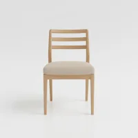 Dining chair shampooing (per chair)