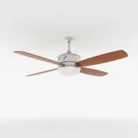 Extra ceiling fan cleaning